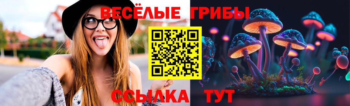 Галлюциногенные грибы ЛСД  Вход с VPN  купить закладку  Грязи 