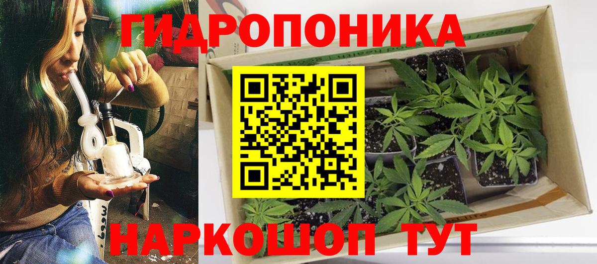 Каннабис планчик  Конопля тримм  Вход с VPN  Грязи  Конопля OG Kush 